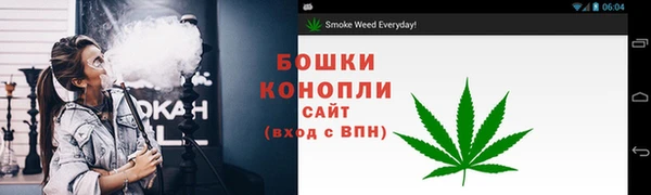 ПСИЛОЦИБИНОВЫЕ ГРИБЫ Нея