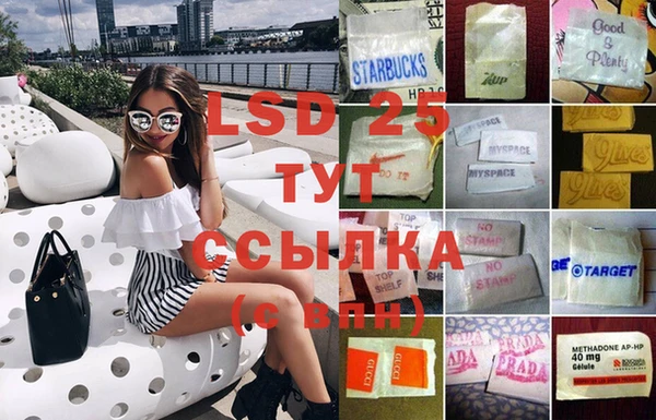 ПСИЛОЦИБИНОВЫЕ ГРИБЫ Нея