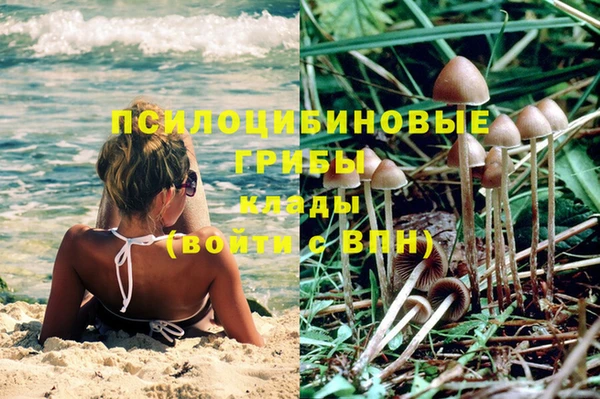 ПСИЛОЦИБИНОВЫЕ ГРИБЫ Нея